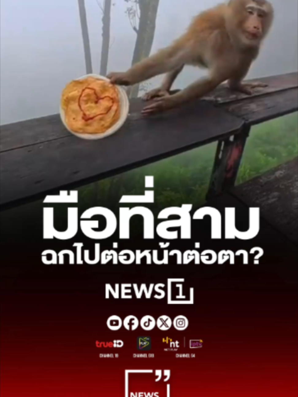 @news1