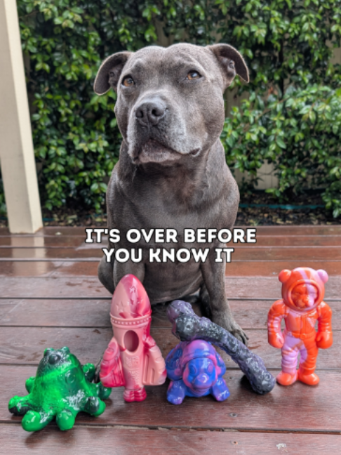 @Happy Staffy Co