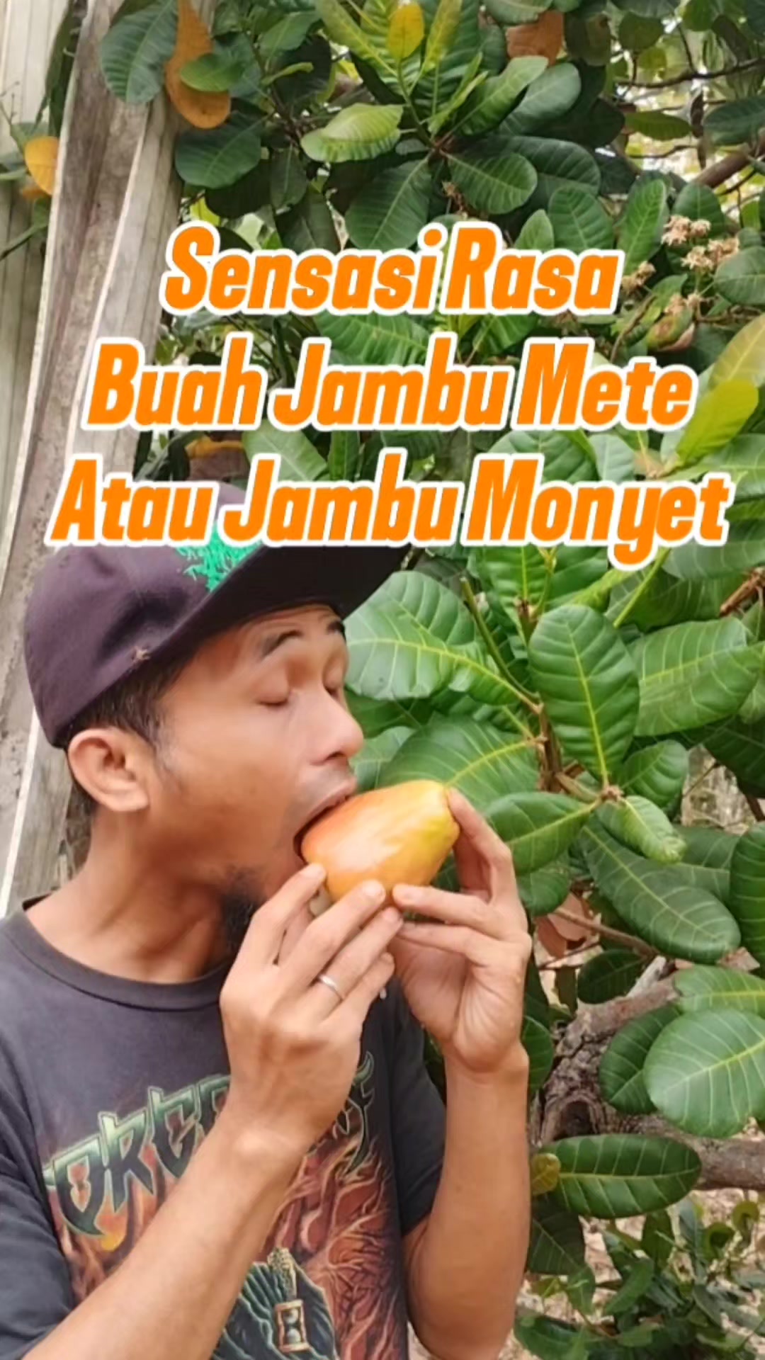 @Bukit Farming