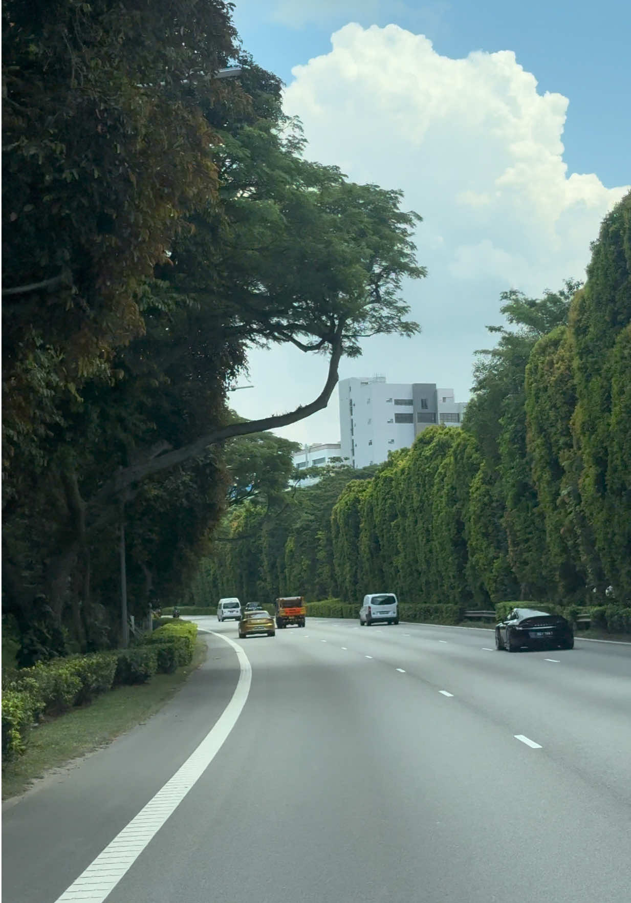 @RoadRecce