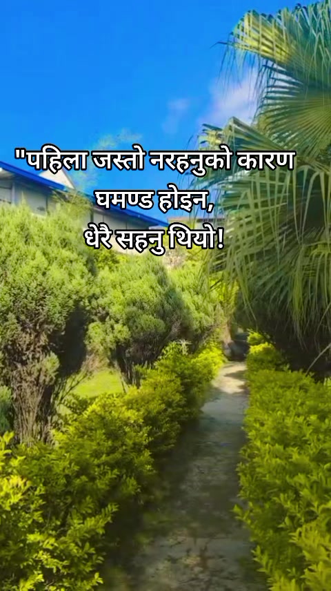 @Pabitra Gharti Magar