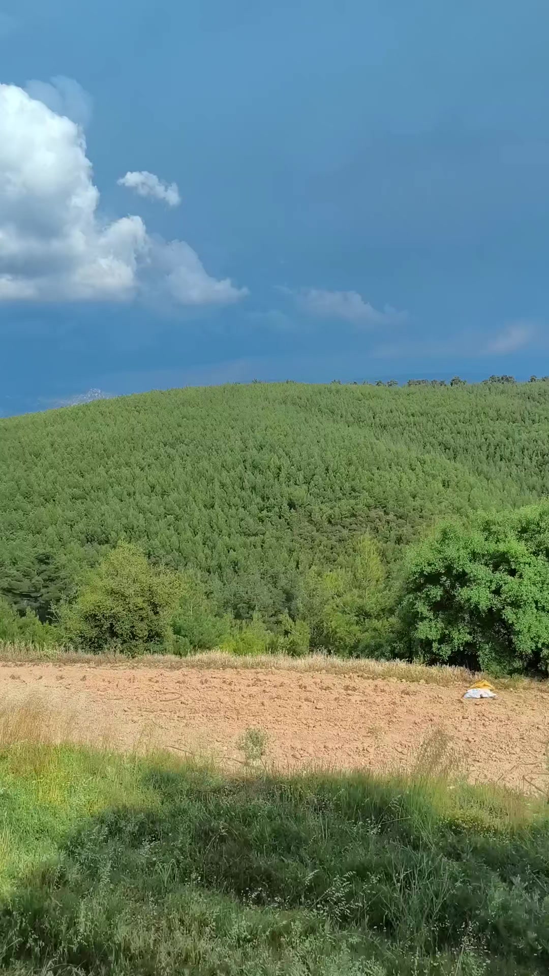 @AYŞE