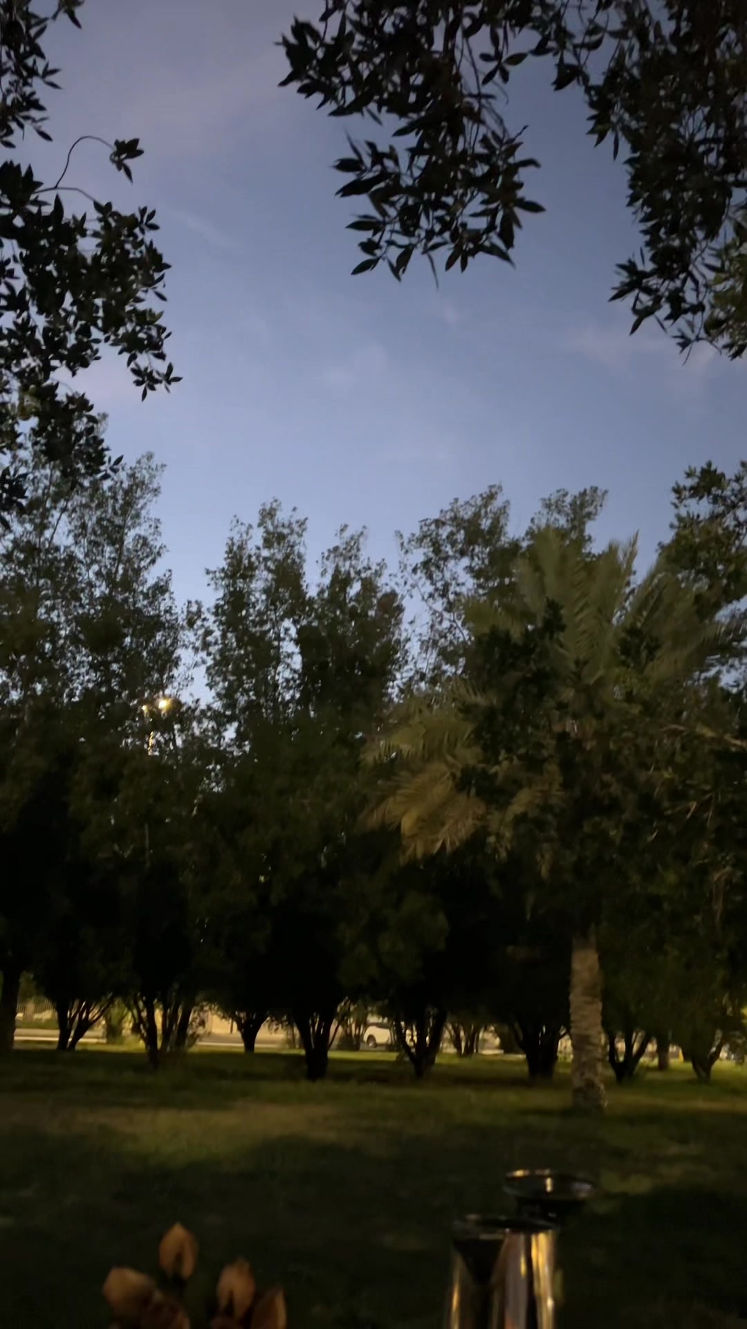 @الـڕڀــمۭ | 𓃗