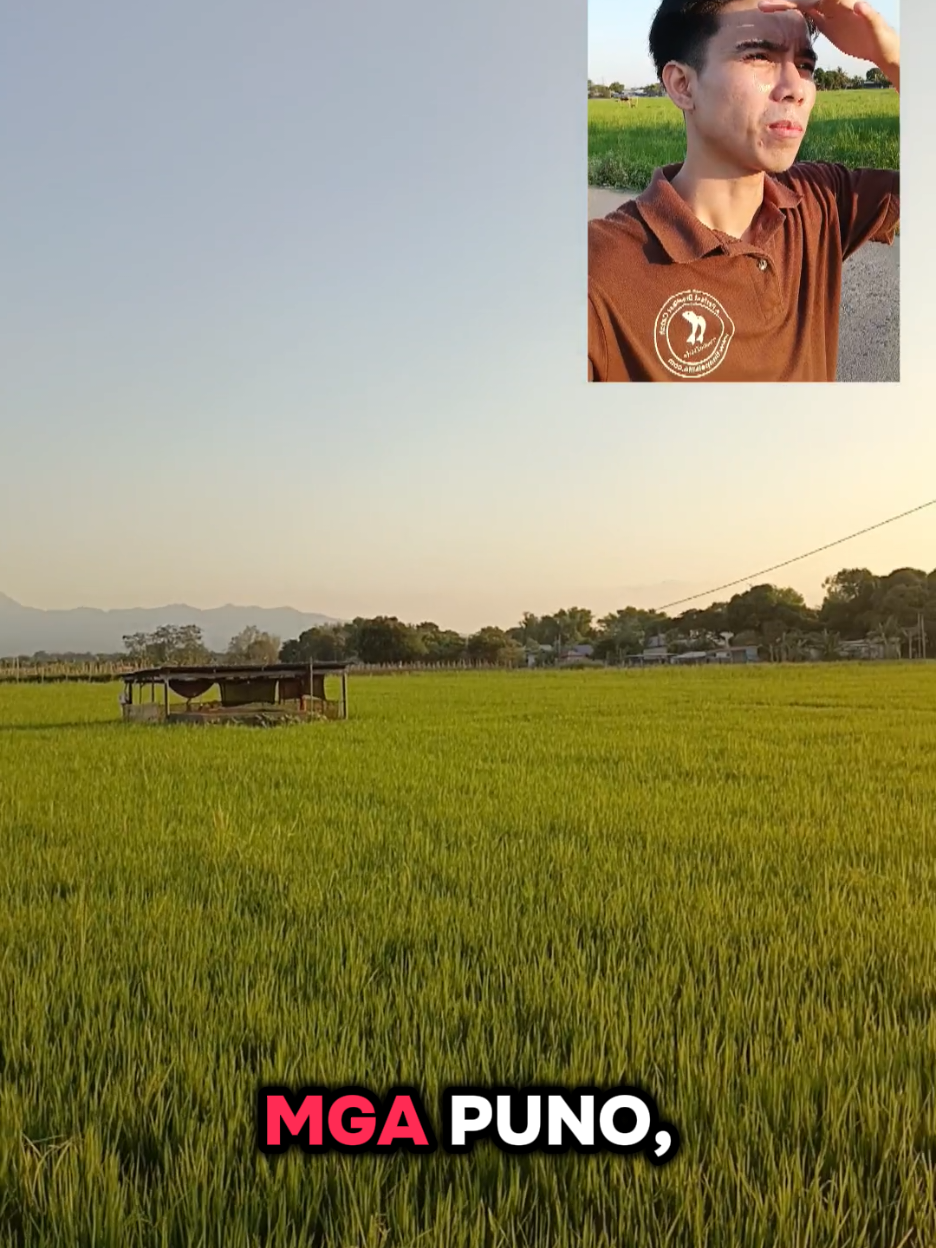 @𝐂𝐥𝐚𝐫𝐤_𝐈𝐚𝐧🇵🇭