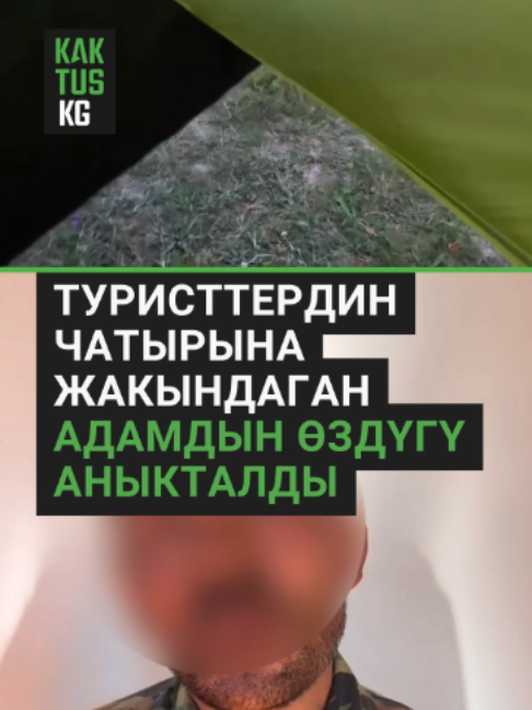 @Kaktus KG