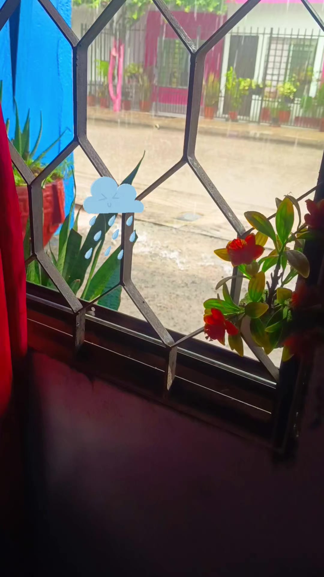 @Sandrita Díaz ❤️🦋