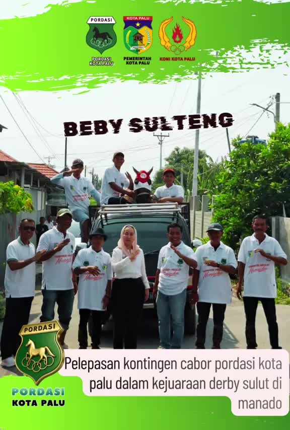 @Emil Salim