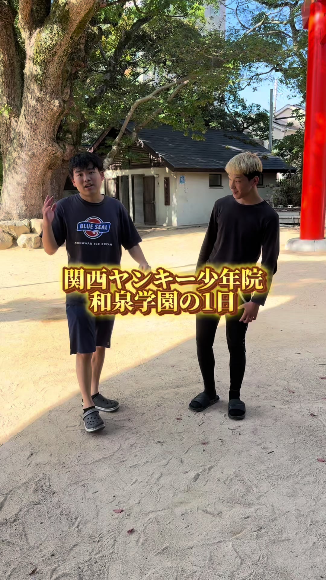 @雄大チャンネル