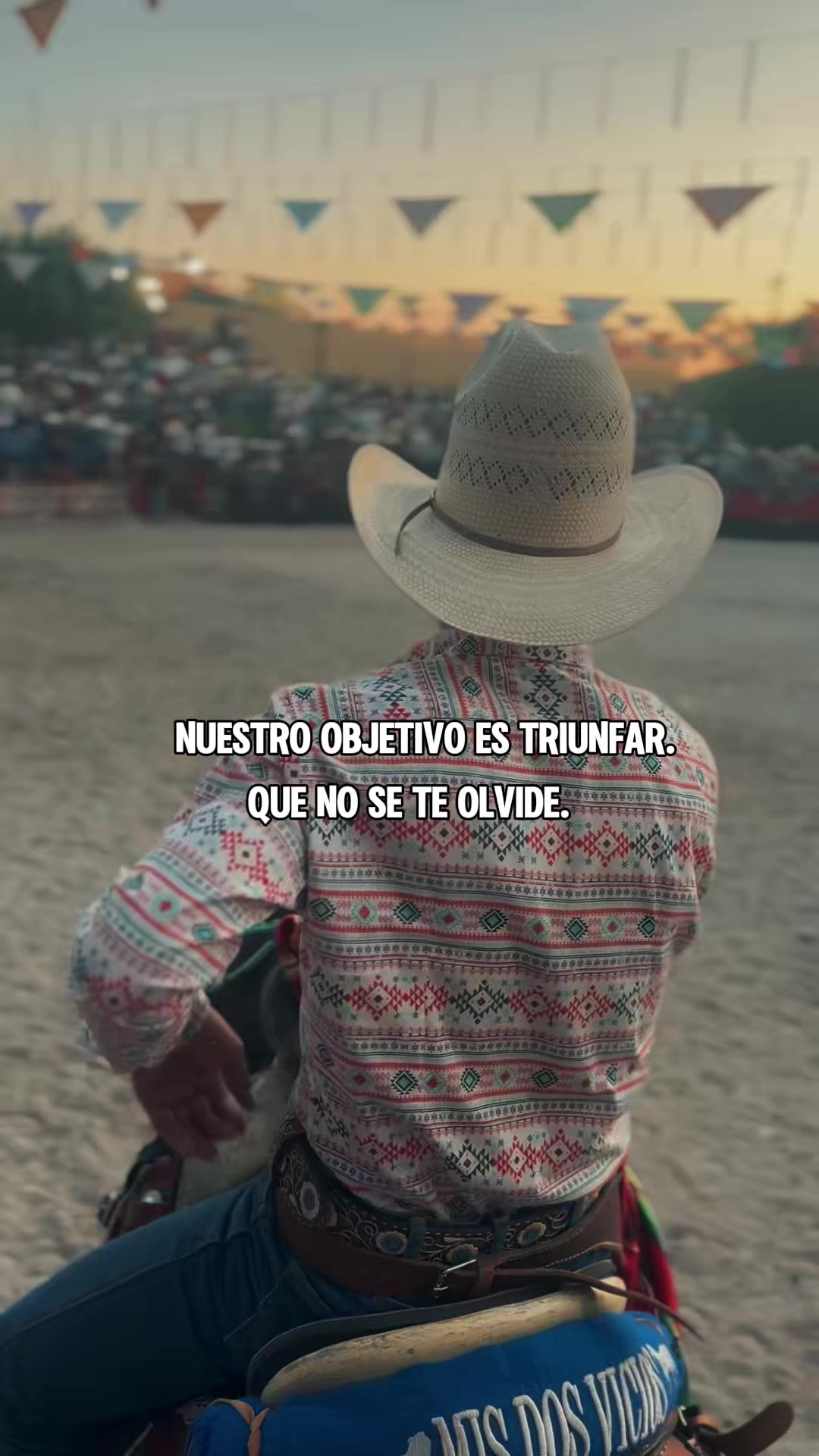 @El Toro Sardo