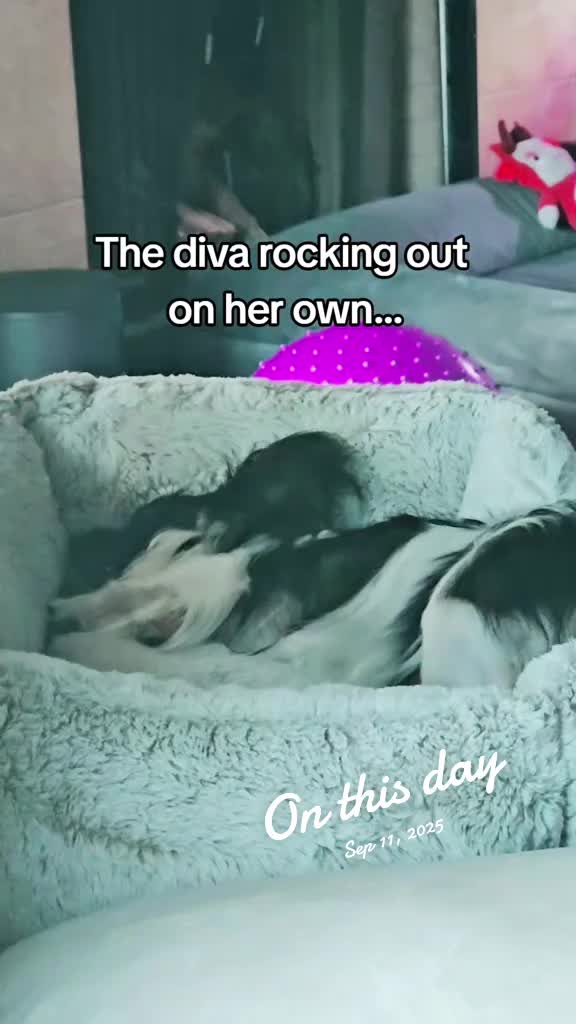 @TheLittleLunaBean