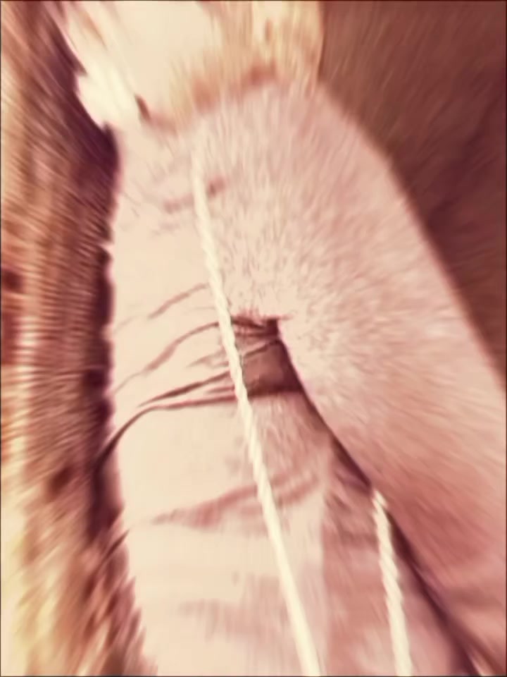 @𝐸𝑙𝑙𝑎👻