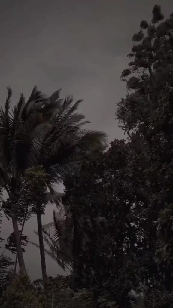 @گمنام 🥀