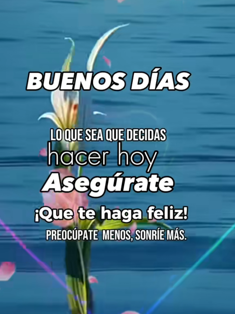 @Maria Ysabel 🇻🇪