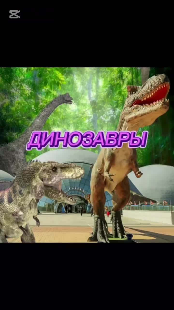 @😎PAPA V KOREE😎