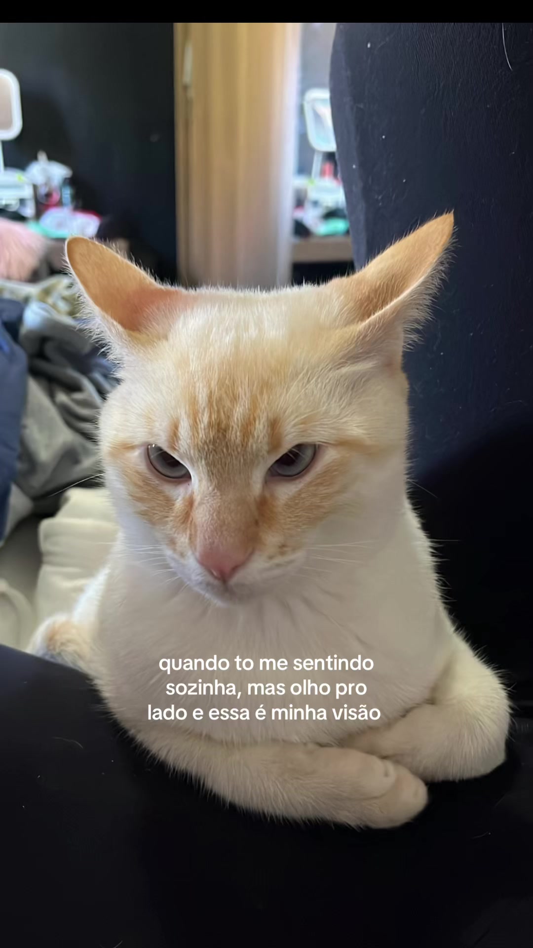 @alemoa