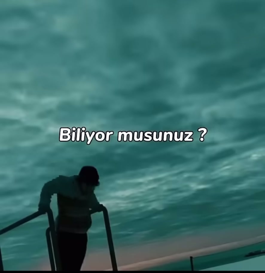 @Motivasyon Girişimi