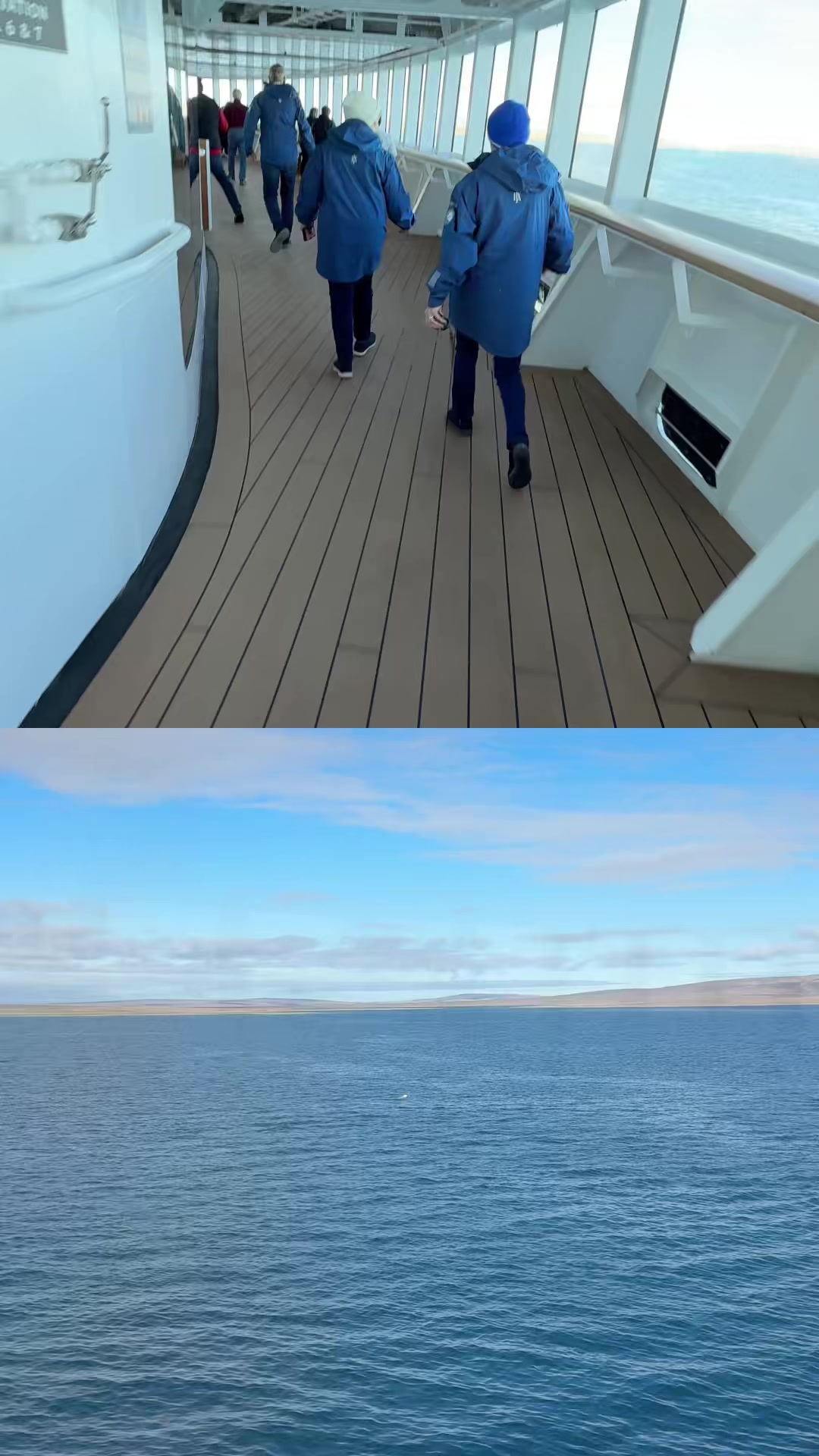 @XPDtion🐋🚢⚓️