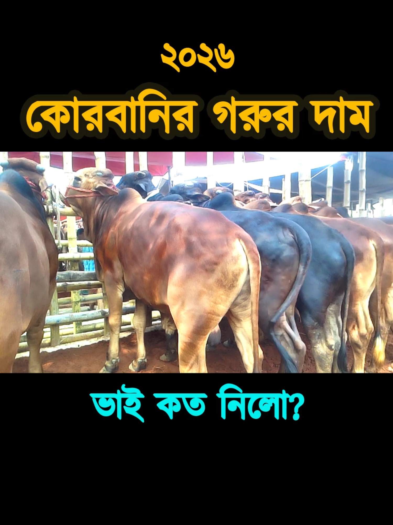 @Nayeem Islam