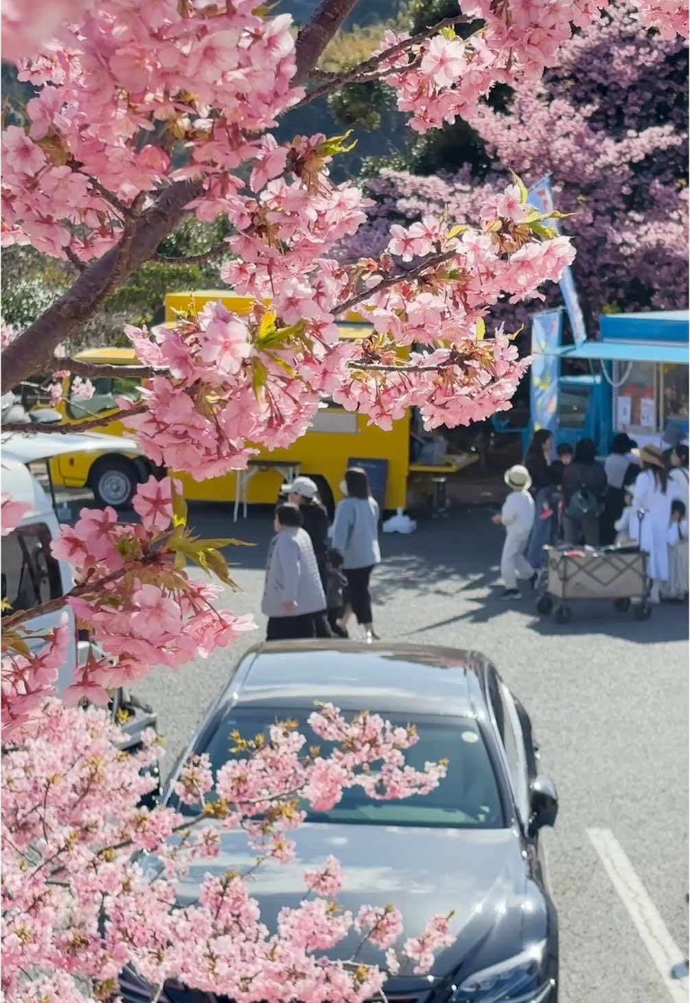@とらのぽいち