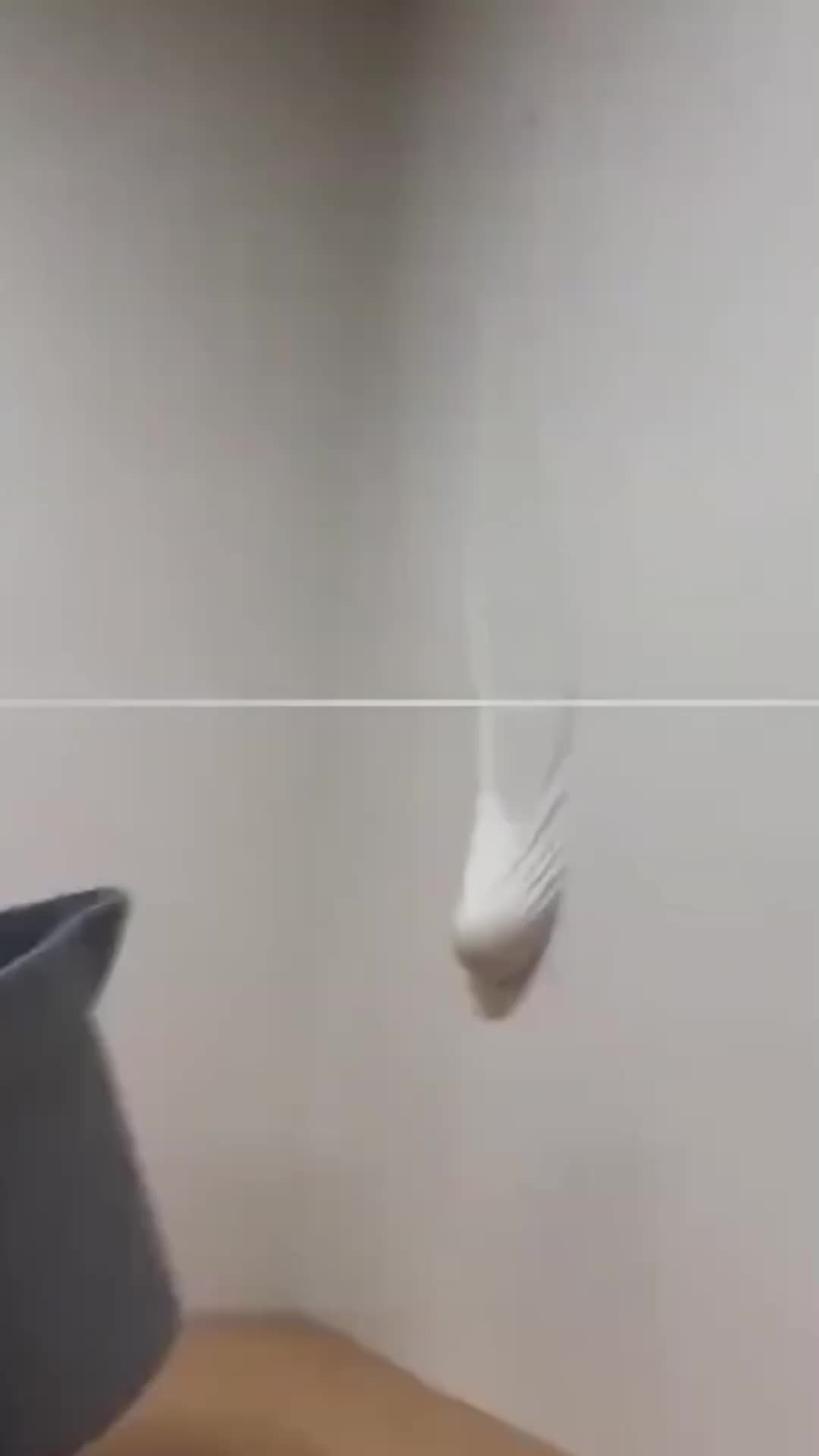 @Funny Prank, 🤣😂
