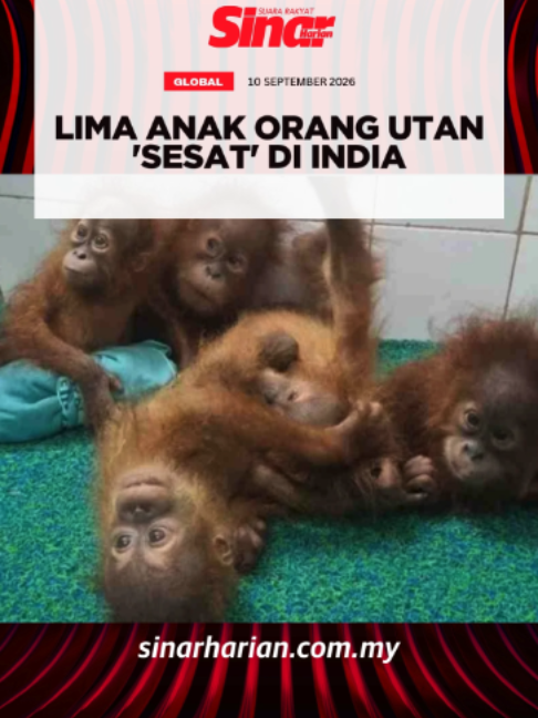 @Sinar Harian