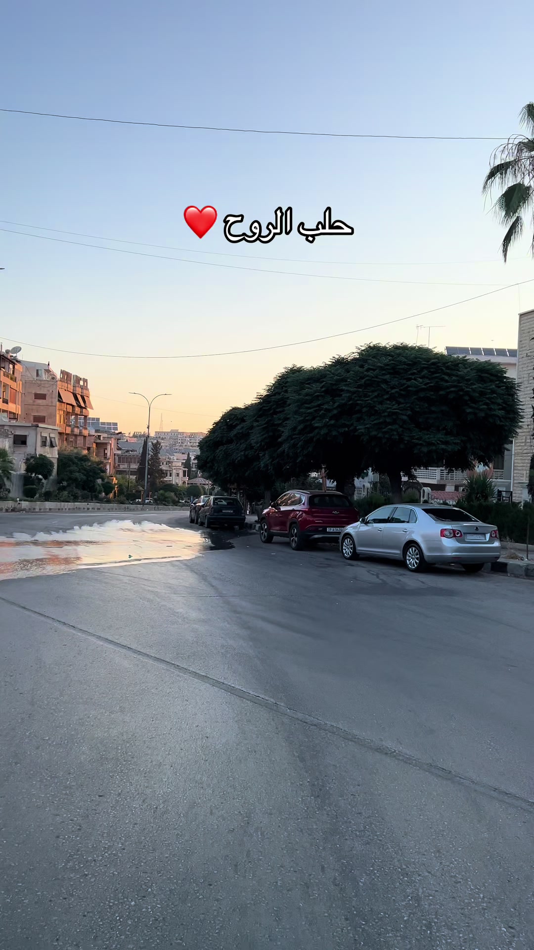 @ياماش حلب