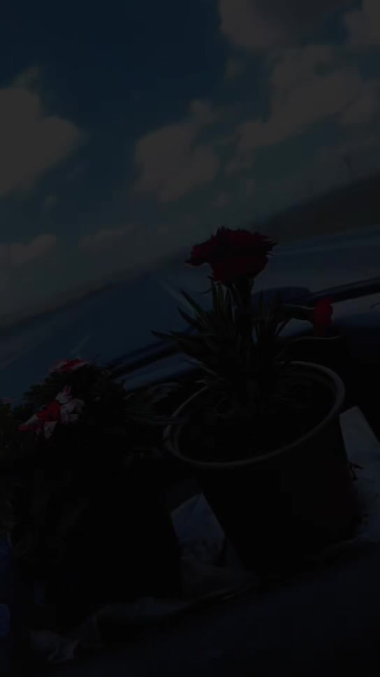 @dygm38