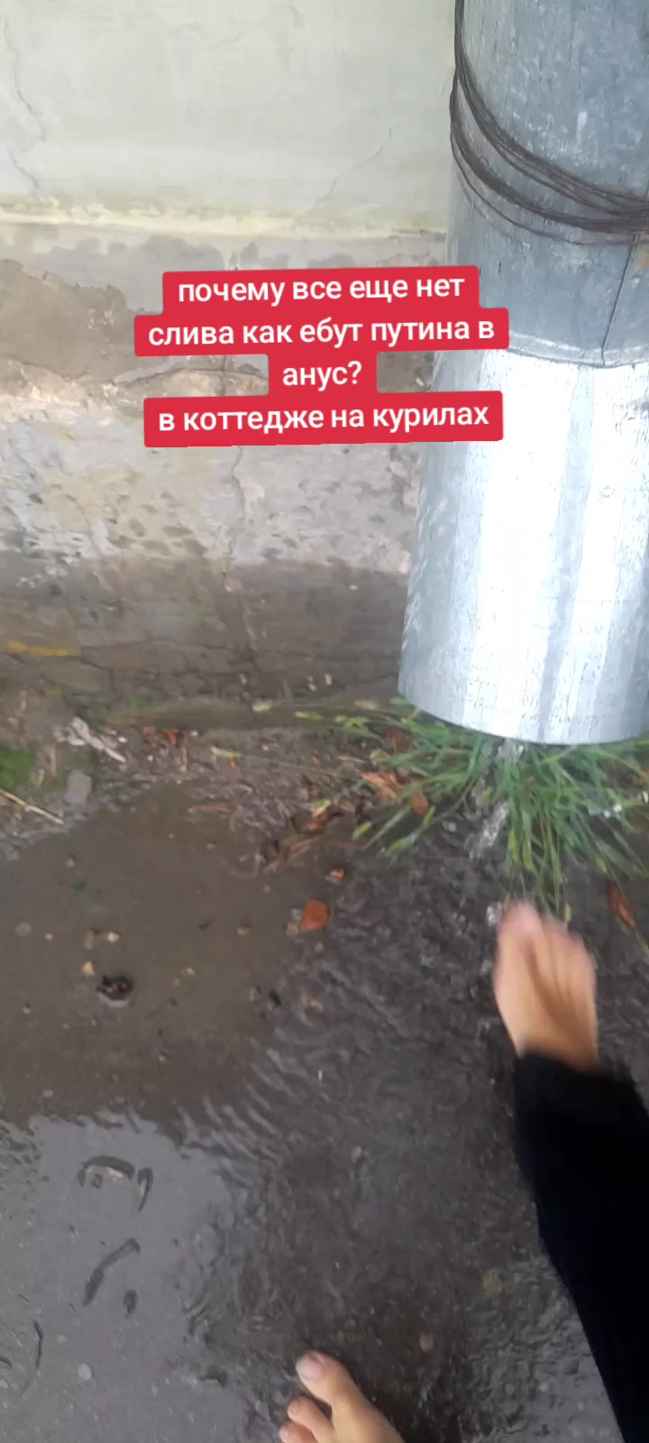@Golovach_04_C_Layna