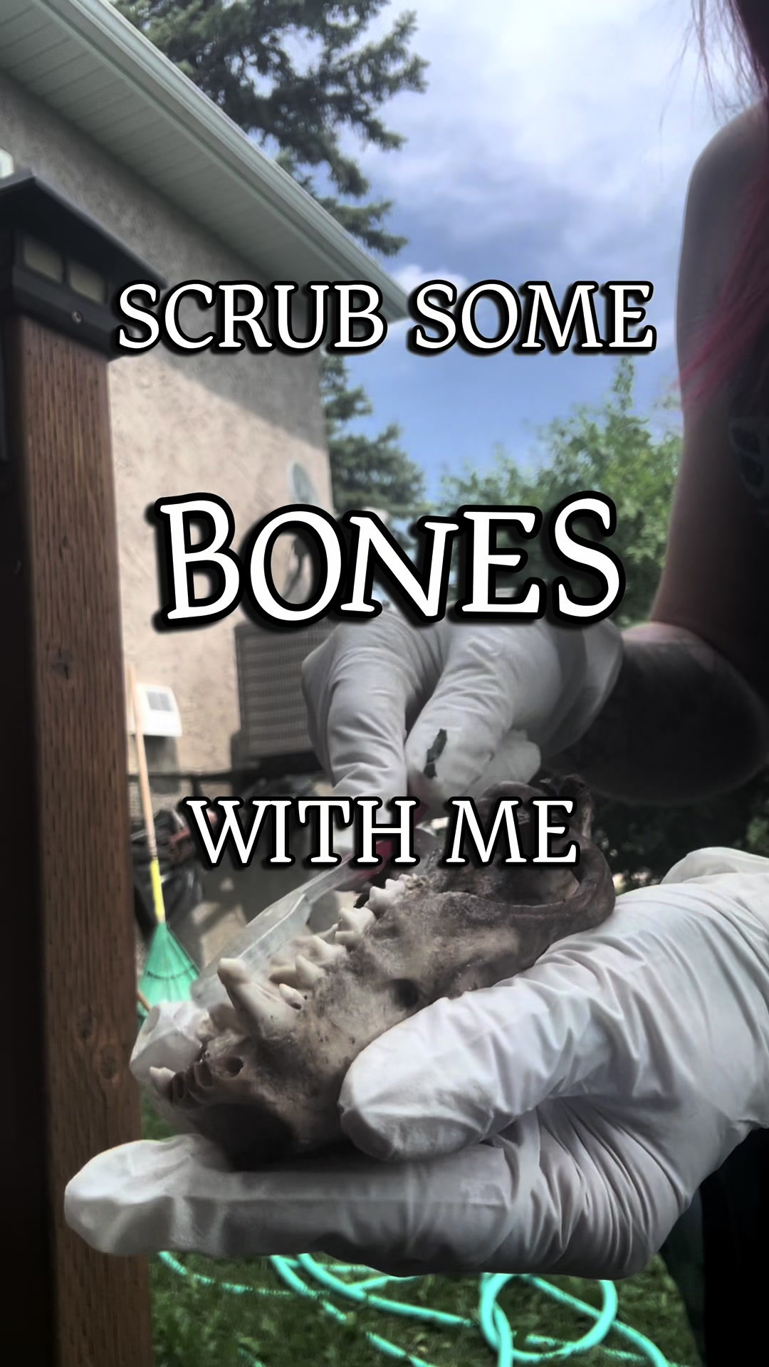 @Madi 🦇🖤