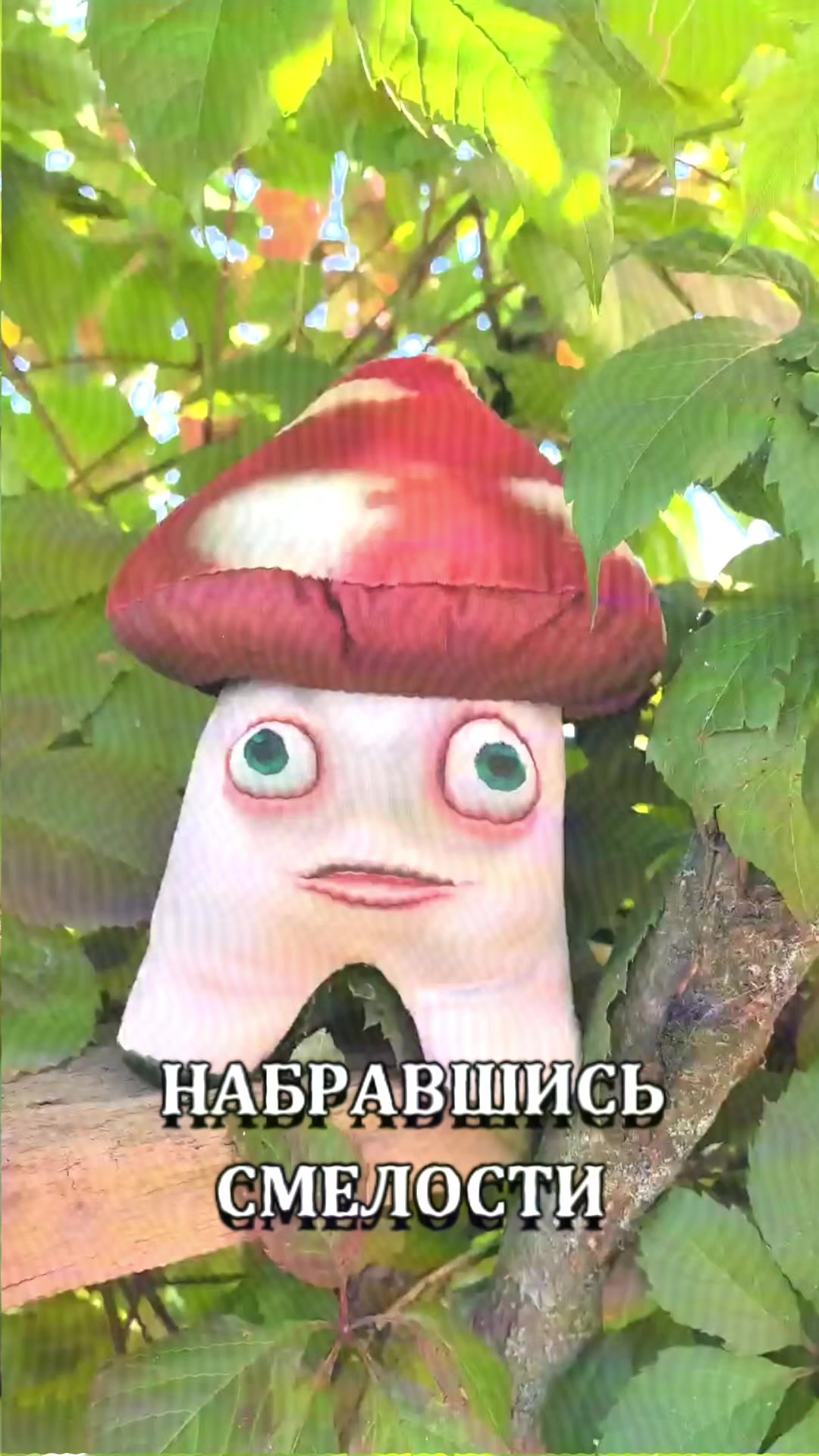 @ЗАЗЕРКАЛЬЕ