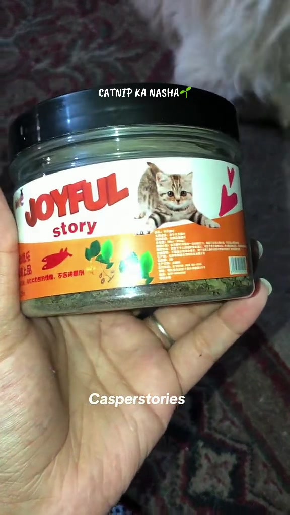 @𝑪𝒂𝒔𝒑𝒆𝒓 & 𝑴𝒊𝒏𝒏𝒊𝒆 🐾