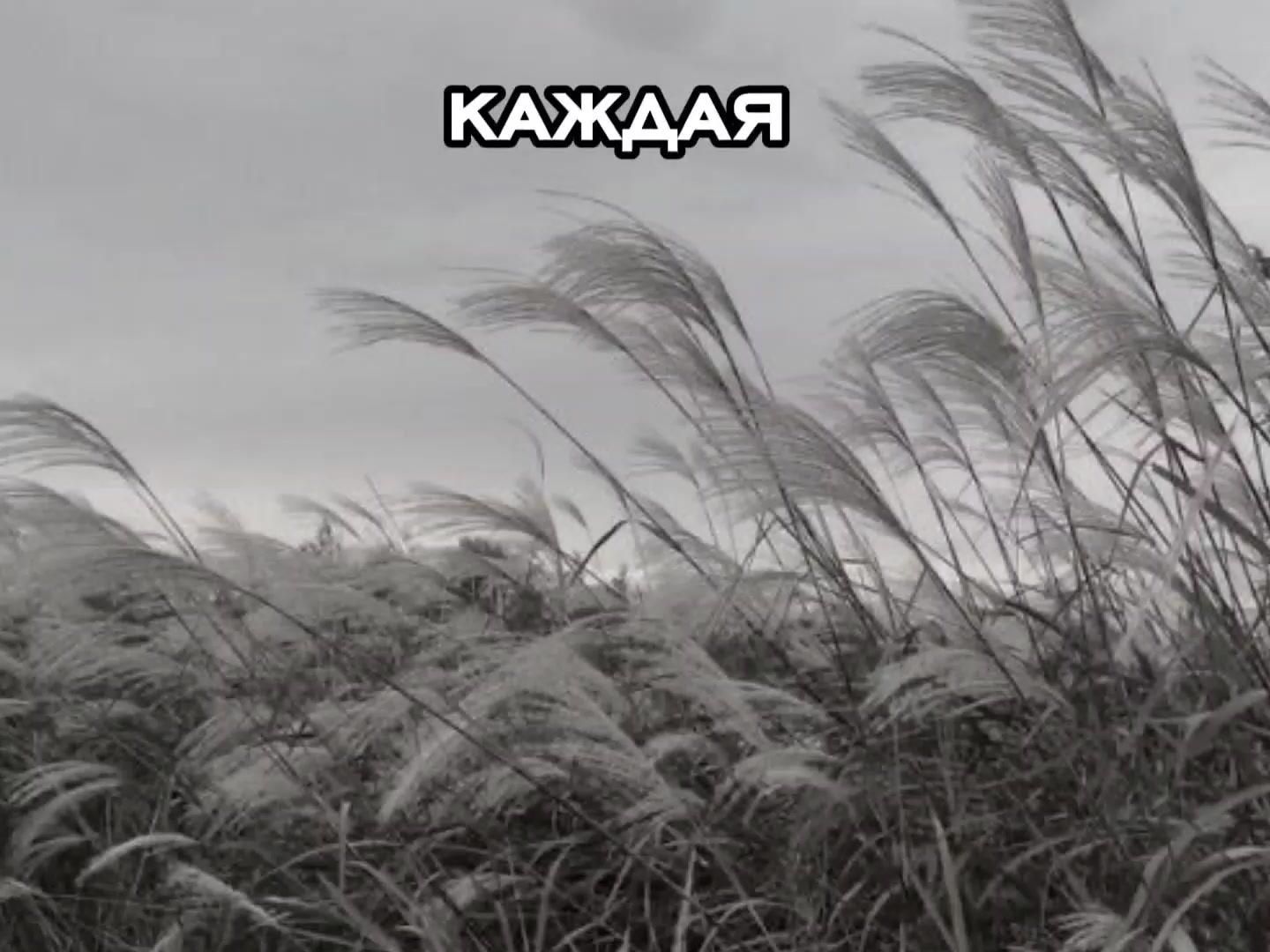 @ᴋиоᴛо