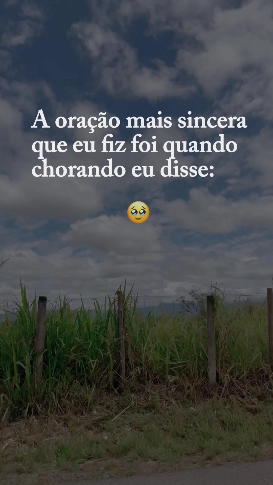 @Adriele Freire