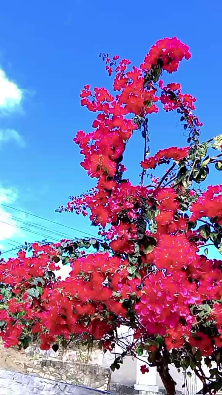 @Potiraguá Bahía e região
