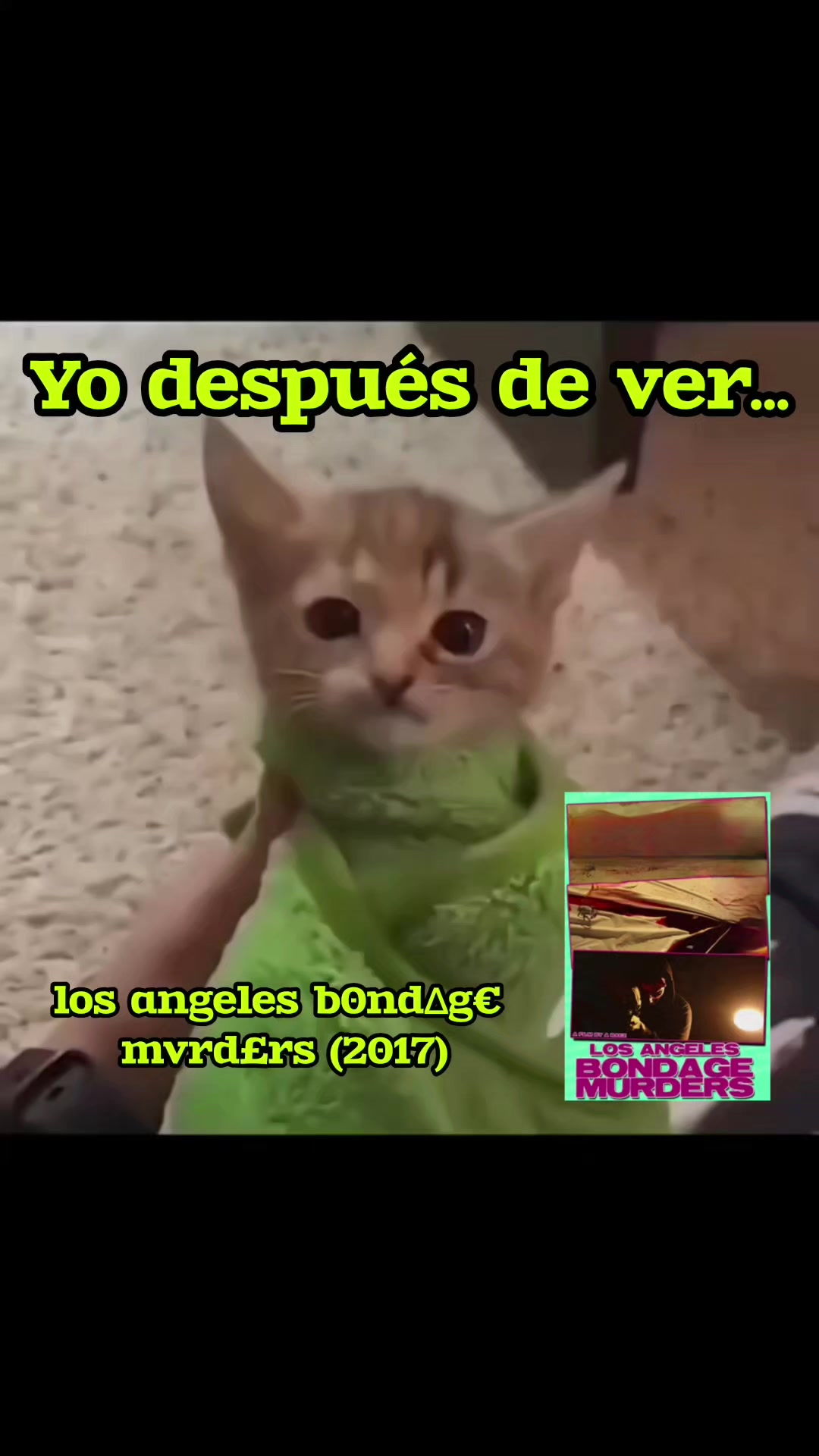 @página podrida