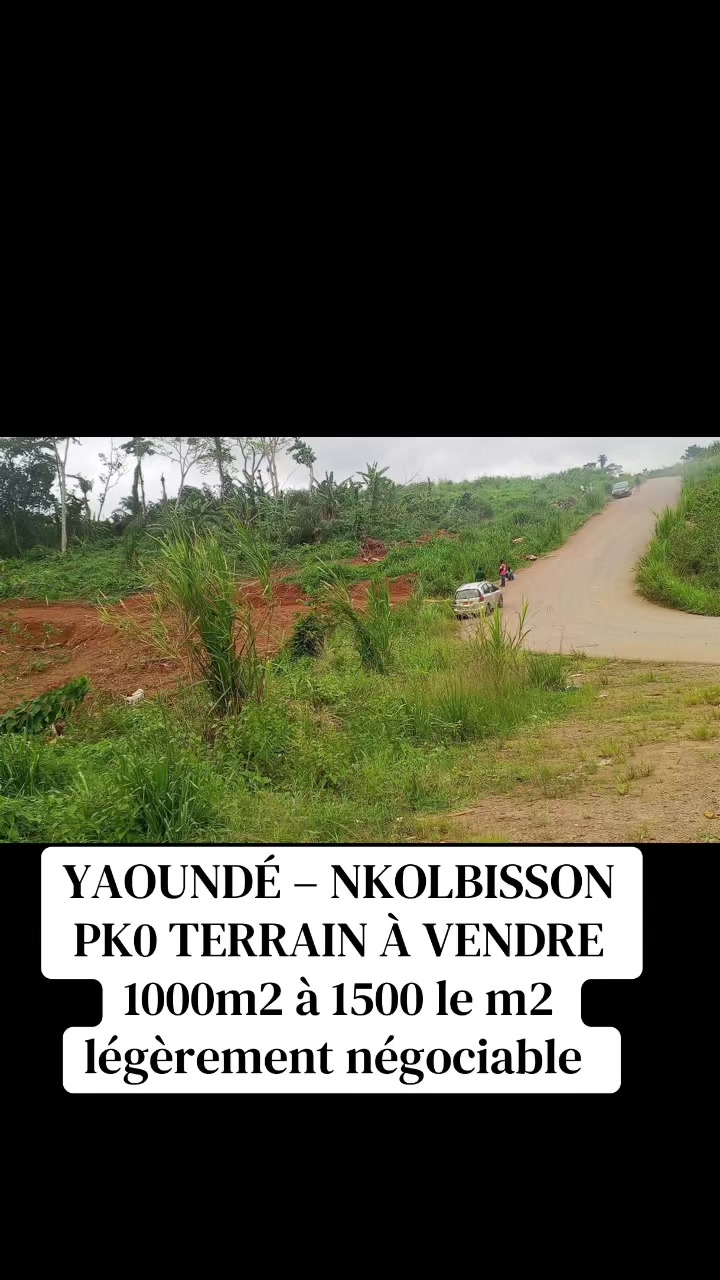@DINO~IMMO~237🇨🇲🇨🇲