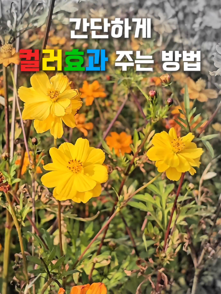 @잉아 ing