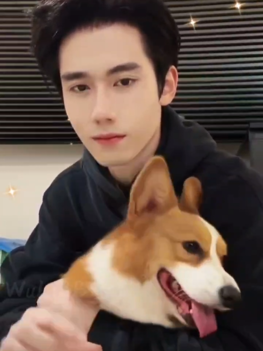 @WuLiChaoGe🦭屋里宝宝🦭