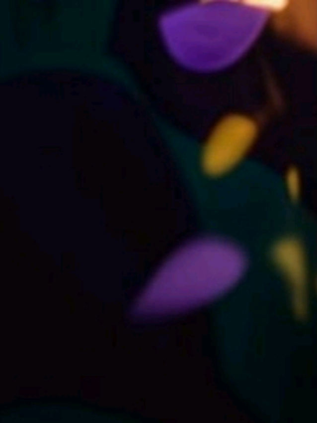@𝙱𝙸𝙰 𝙻𝚢𝚛𝚒𝚌𝚜𖦤