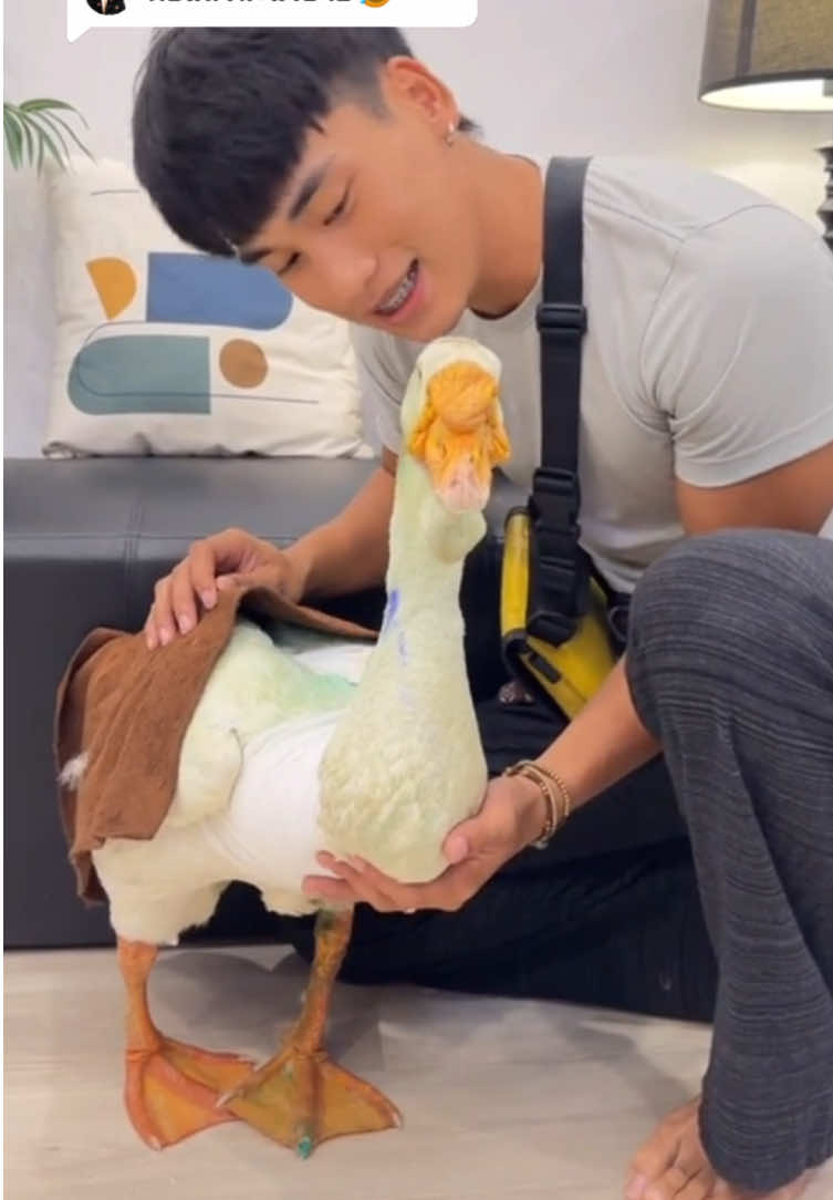 @แงซายลูกชายป๊าแพท