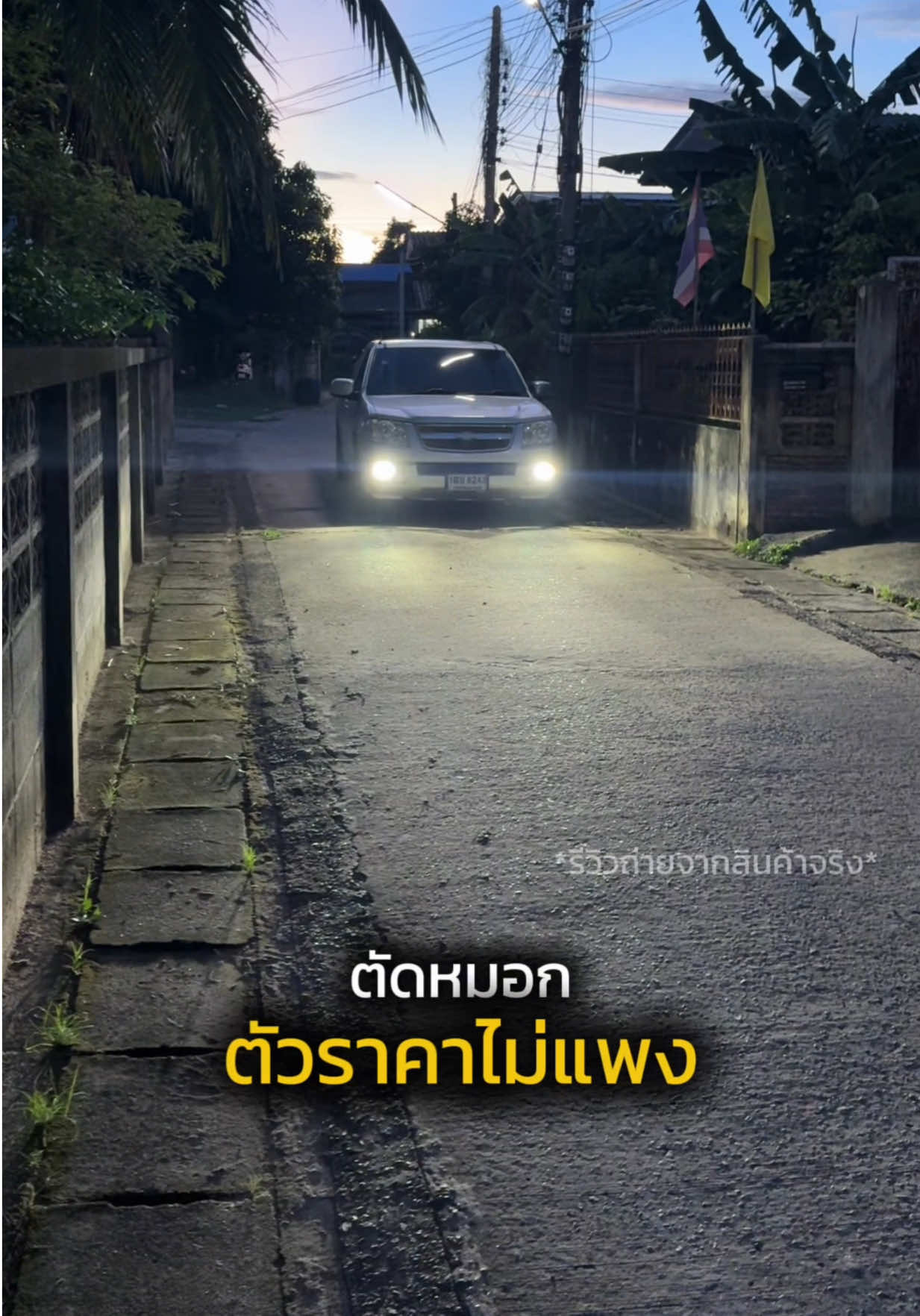 @Mos Apiwat