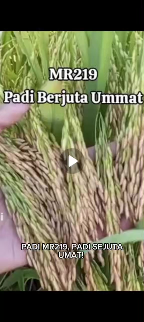 @PT. BHD INDONESIA