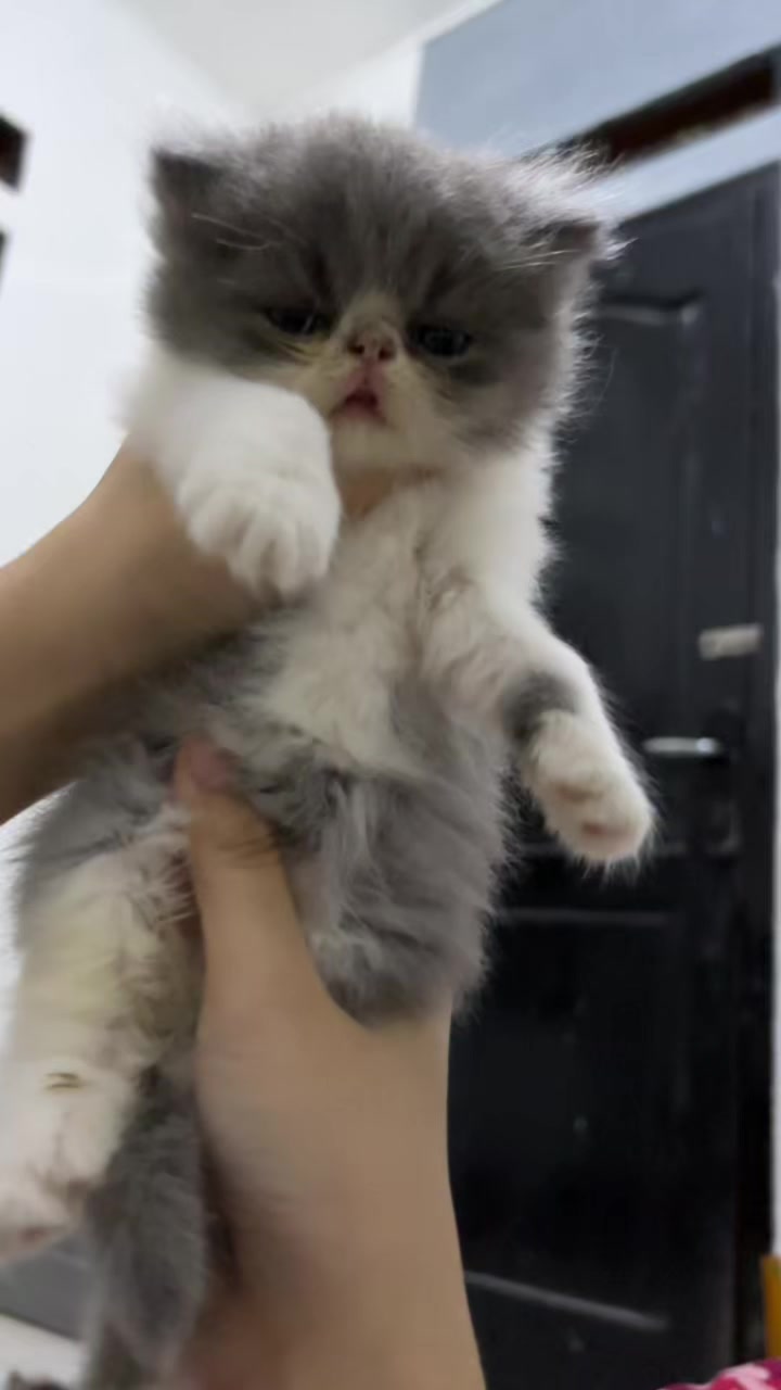 @.