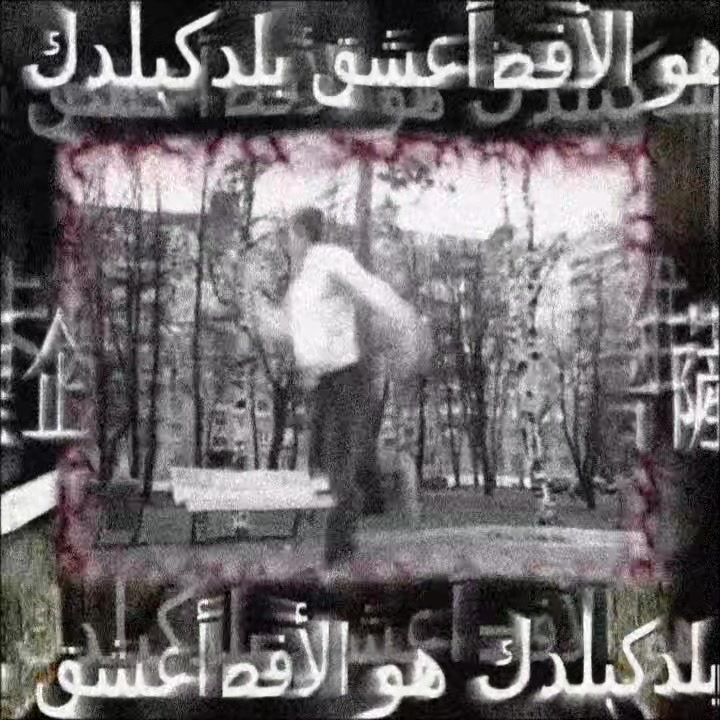 @dayerteq