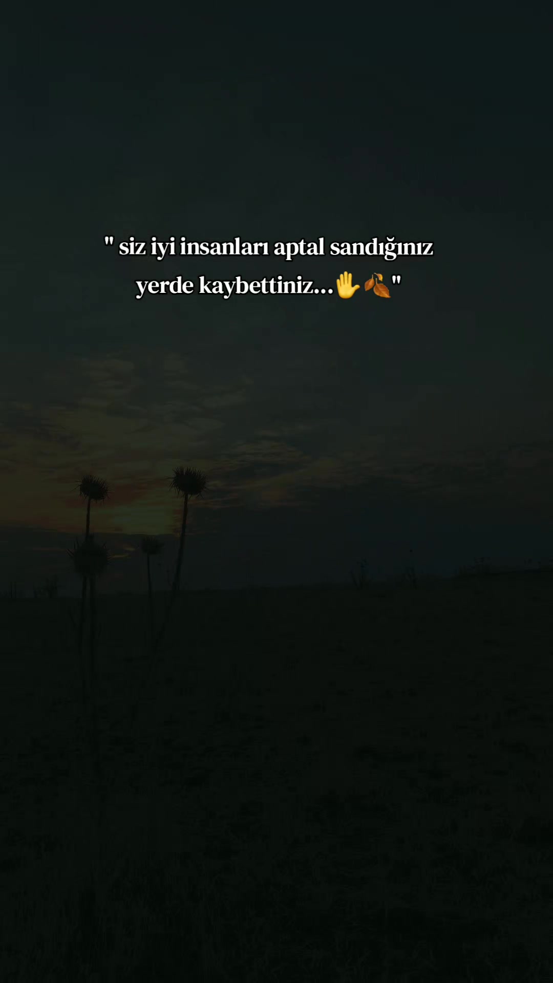@𝐒 𝐓 𝐄 𝐑 𝐊 ✷