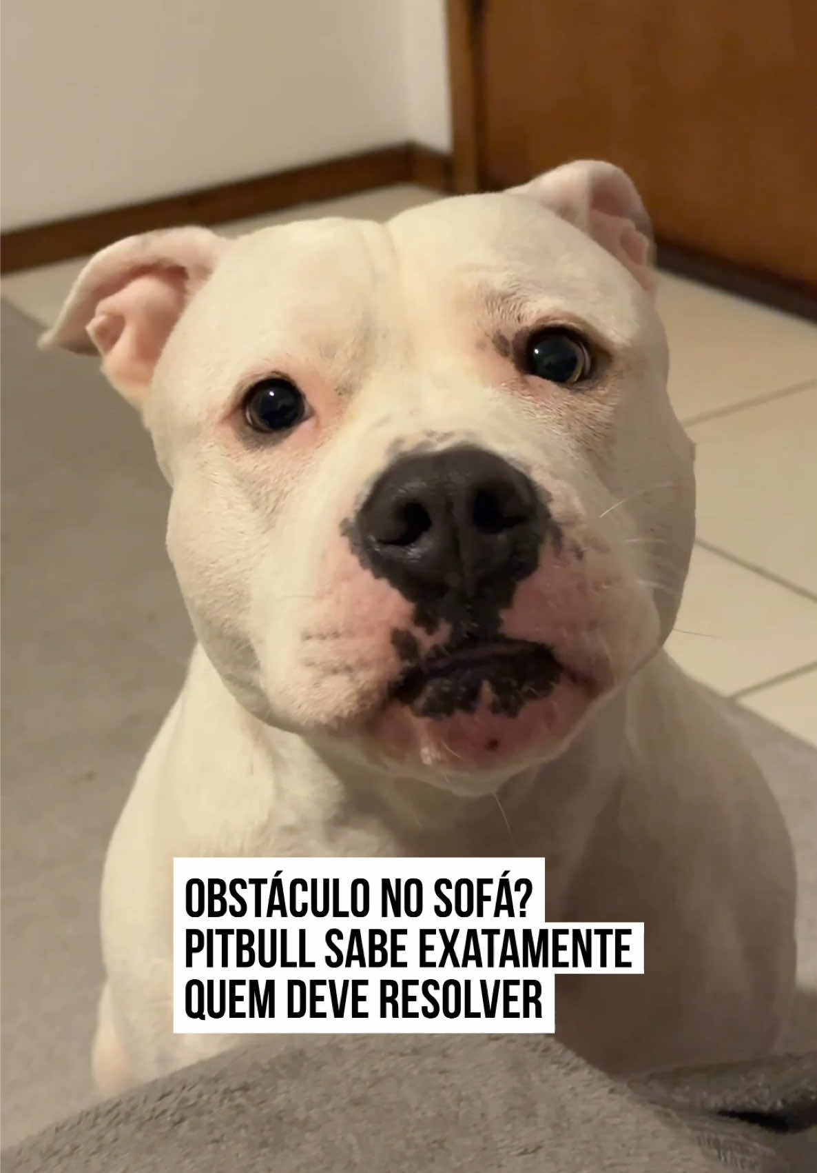 @Metrópoles Oficial