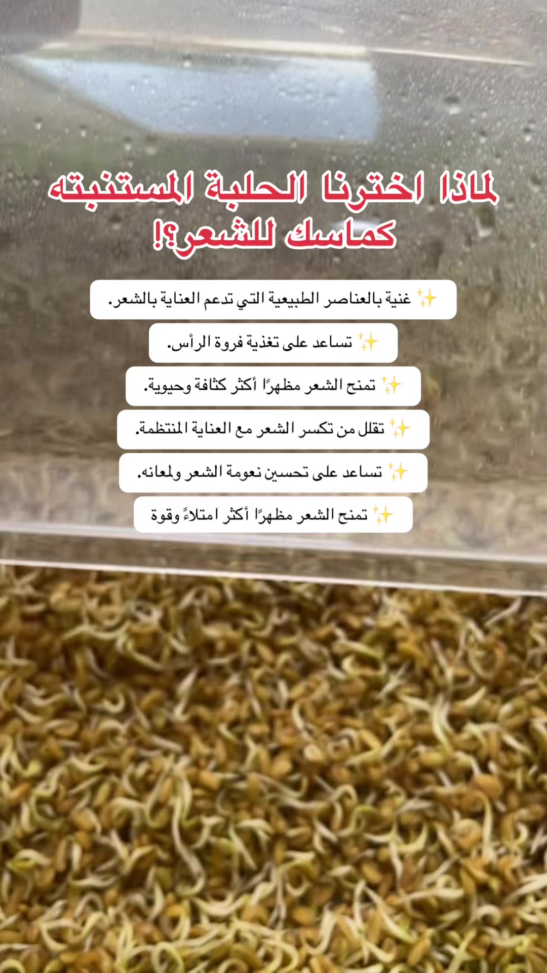 @رِقــة | RIQA