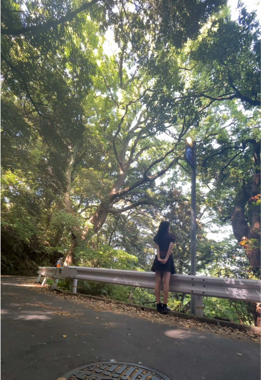 @雅(15)