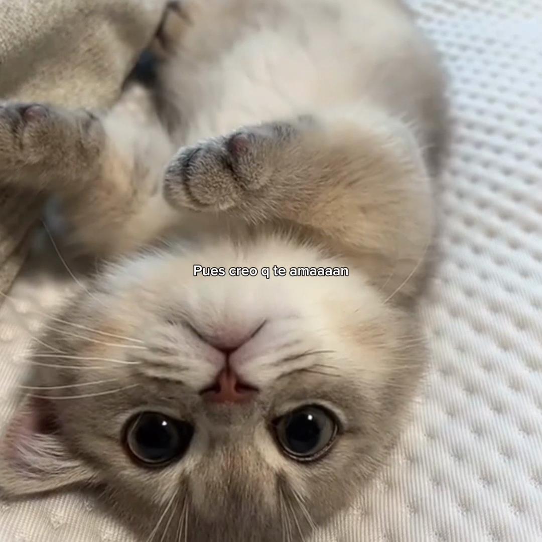 @𝒪𝓳𝓮𝓭𝓪𝓻𝓲𝓸