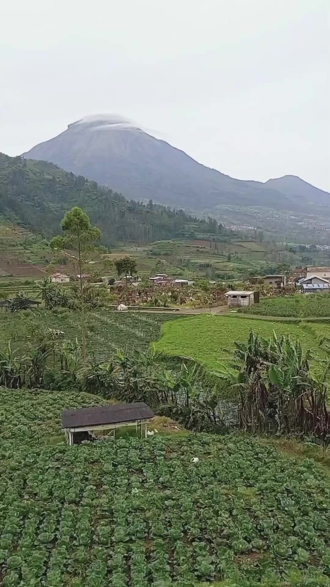 @jaka swara